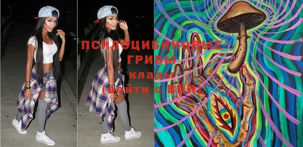 крисы Карпинск