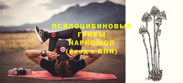 крисы Карпинск