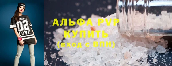 СК Касимов