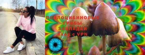 сатива Карталы