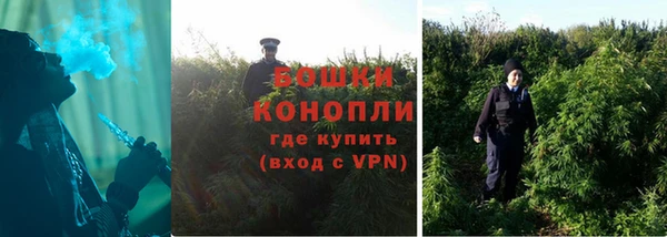 сатива Карталы