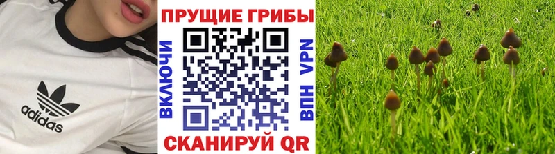Галлюциногенные грибы MAGIC MUSHROOMS  Купить  Орск 